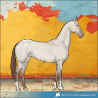 Horse Color:Classic Champagne Roan Dun Varnish 