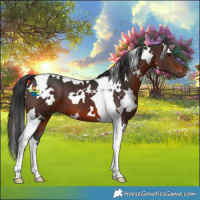 Horse Color:White Spotted Brown Tobiano 