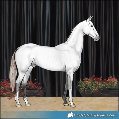 Horse Color:Gray Liver Red Roan Varnish 