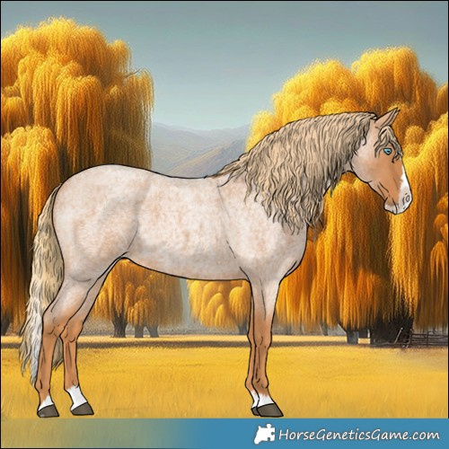 Horse Color:Red Roan Splash 