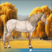 Horse Color:Red Roan Splash 