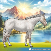Horse Color:Silver Grullo Roan Appaloosa Rabicano 
