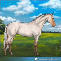 Horse Color:Silver Bay Roan Dun Appaloosa Rabicano