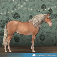 Horse Color:Gold Champagne 