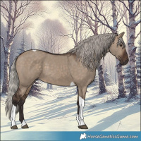 Horse Color:Silver Brown Dun Tobiano Rabicano 