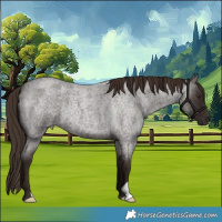 Horse Color:Liver Red Roan 