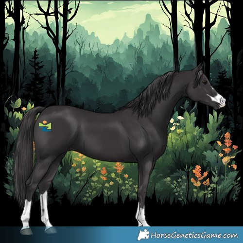 Horse Color:Smoky Black 