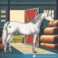 Horse Color:Silver Bay Roan Dun Appaloosa Rabicano 