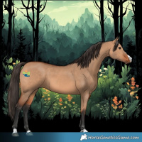 Horse Color:Bay Dun