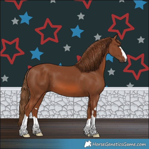 Horse Color:Chestnut 