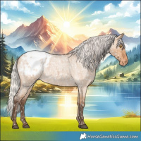Horse Color:Silver Bay Roan Dun Appaloosa Rabicano 