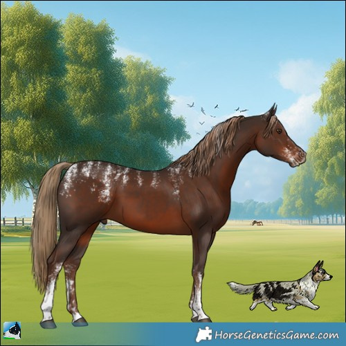 Horse Color:Powder White Liver Chestnut 
