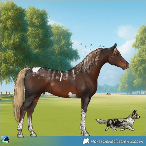 Horse Color:Powder White Liver Chestnut Tobiano 