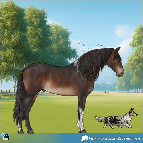 Horse Color:Brown Tobiano Rabicano 
