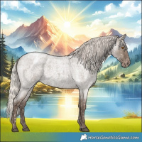 Horse Color:Silver Grullo Roan Appaloosa Rabicano 