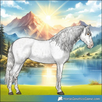 Horse Color:Silver Grullo Roan Snowflake Varnish Rabicano 