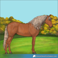 Horse Color:Chestnut 