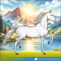 Horse Color:Silver Bay Roan Dun Snowflake Varnish Rabicano