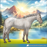 Horse Color:Silver Grullo Roan Appaloosa Rabicano 