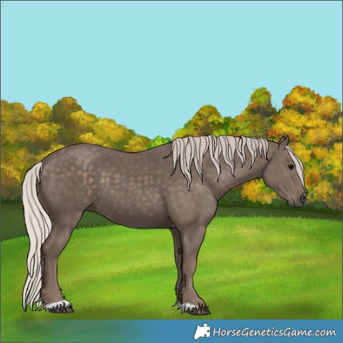 Horse Color:Silver Black 
