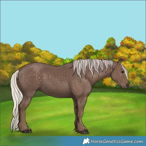 Horse Color:Silver Black 