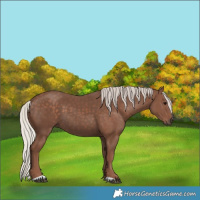 Horse Color:Silver Black