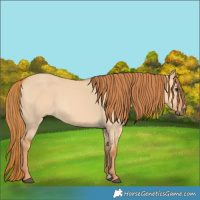 Horse Color:Red Dun 