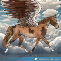 Horse Color:Brown and Chestnut