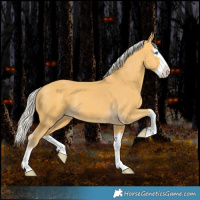 Horse Color:Silver Amber Cream Champagne Splash 