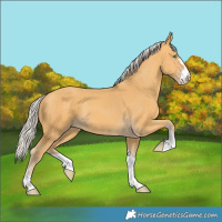 Horse Color:Silver Amber Cream Champagne 