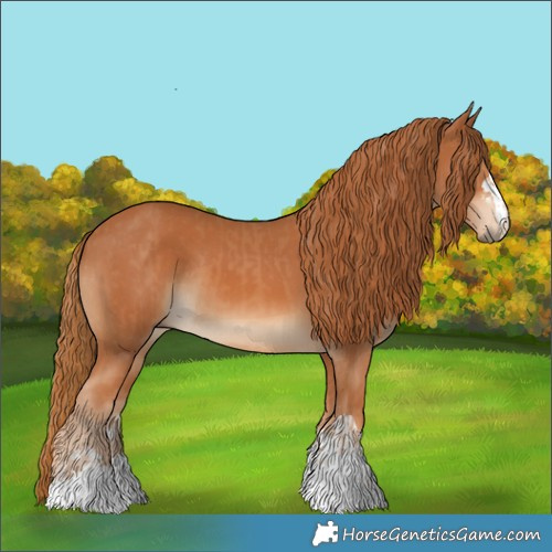 Horse Color:Chestnut  and Chestnut Rabicano 