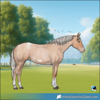 Horse Color:Silver Blue Roan Pearl Tobiano Frame 