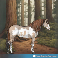 Horse Color:Bay Dun Sabino Rabicano and Liver Red Dun Sabino Frame Rabicano