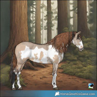 Horse Color:Bay Dun Sabino Rabicano  and Liver Red Dun Sabino Frame Rabicano 