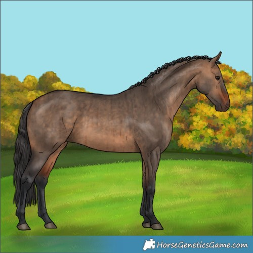 Horse Color:Brown Dun Brindle 