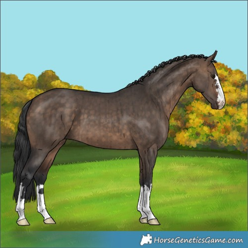Horse Color:Brown Dun Brindle 