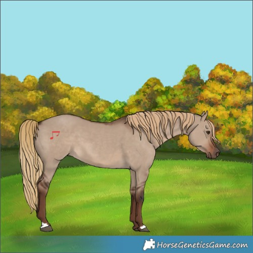 Horse Color:Liver Red Dun 