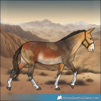 Horse Color:Bay  and Buckskin 