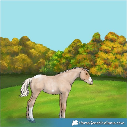 Horse Color:Silver Blue Roan Pearl Tobiano Frame