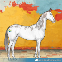 Horse Color:Bay Roan Splash Appaloosa Rabicano 