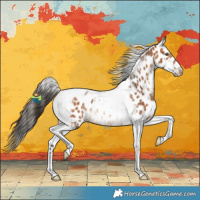 Horse Color:Bay Tobiano Leopard Rabicano 