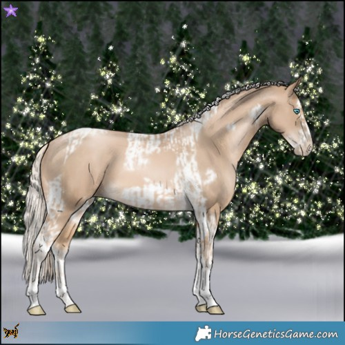 Horse Color:Chocolate Palomino Pearl Tobiano Frame  and Chocolate Palomino Pearl Splash Tobiano Frame 