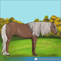 Horse Color:Silver Black