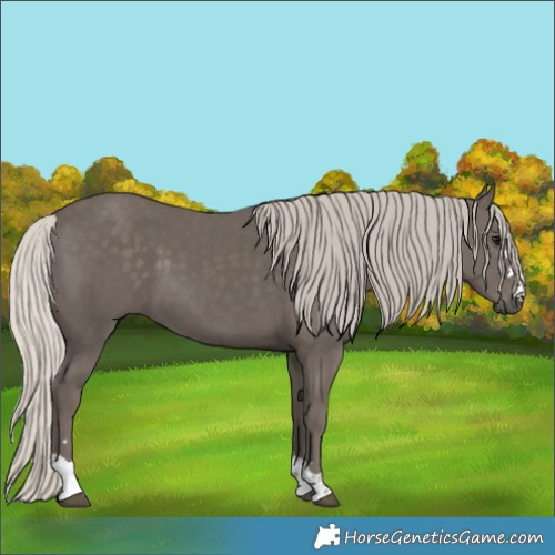 Horse Color:Silver Black 