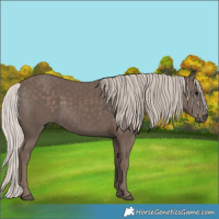 Horse Color:Silver Black 