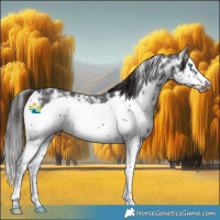 Horse Color:Liver Chestnut Sabino Splash Frame Appaloosa 