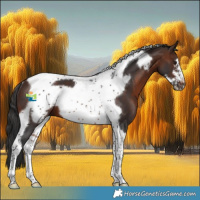 Horse Color:Brown Tobiano Frame Rabicano 
