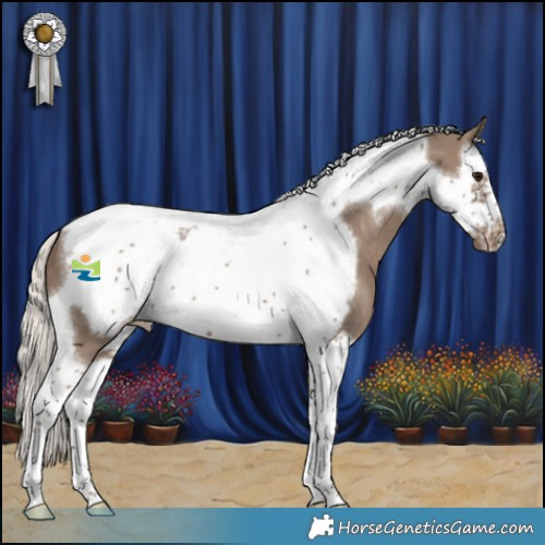 Horse Color:Silver Grullo Splash Tobiano Frame Varnish 