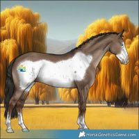 Horse Color:Liver Red Dun Frame 