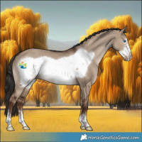 Horse Color:Liver Red Dun Frame 